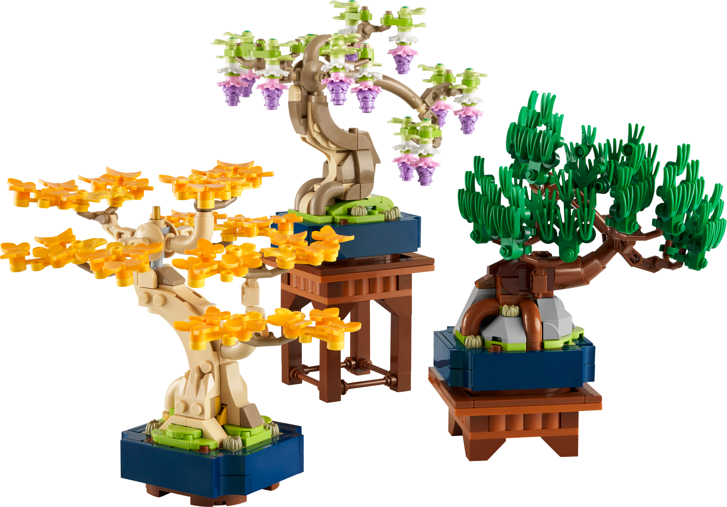 Mini Bonsai Trees