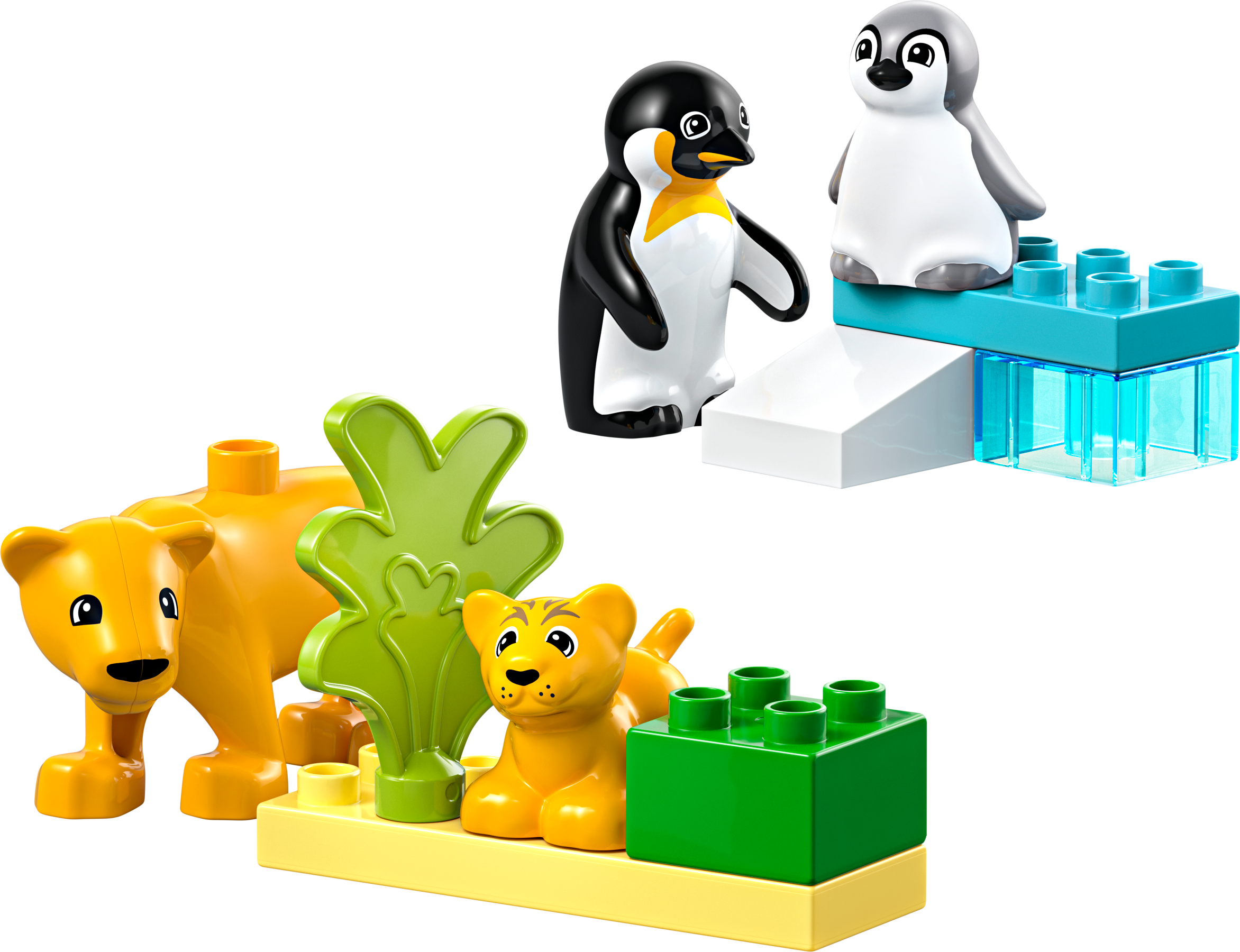 Wild Animal Families: Penguins & Lions