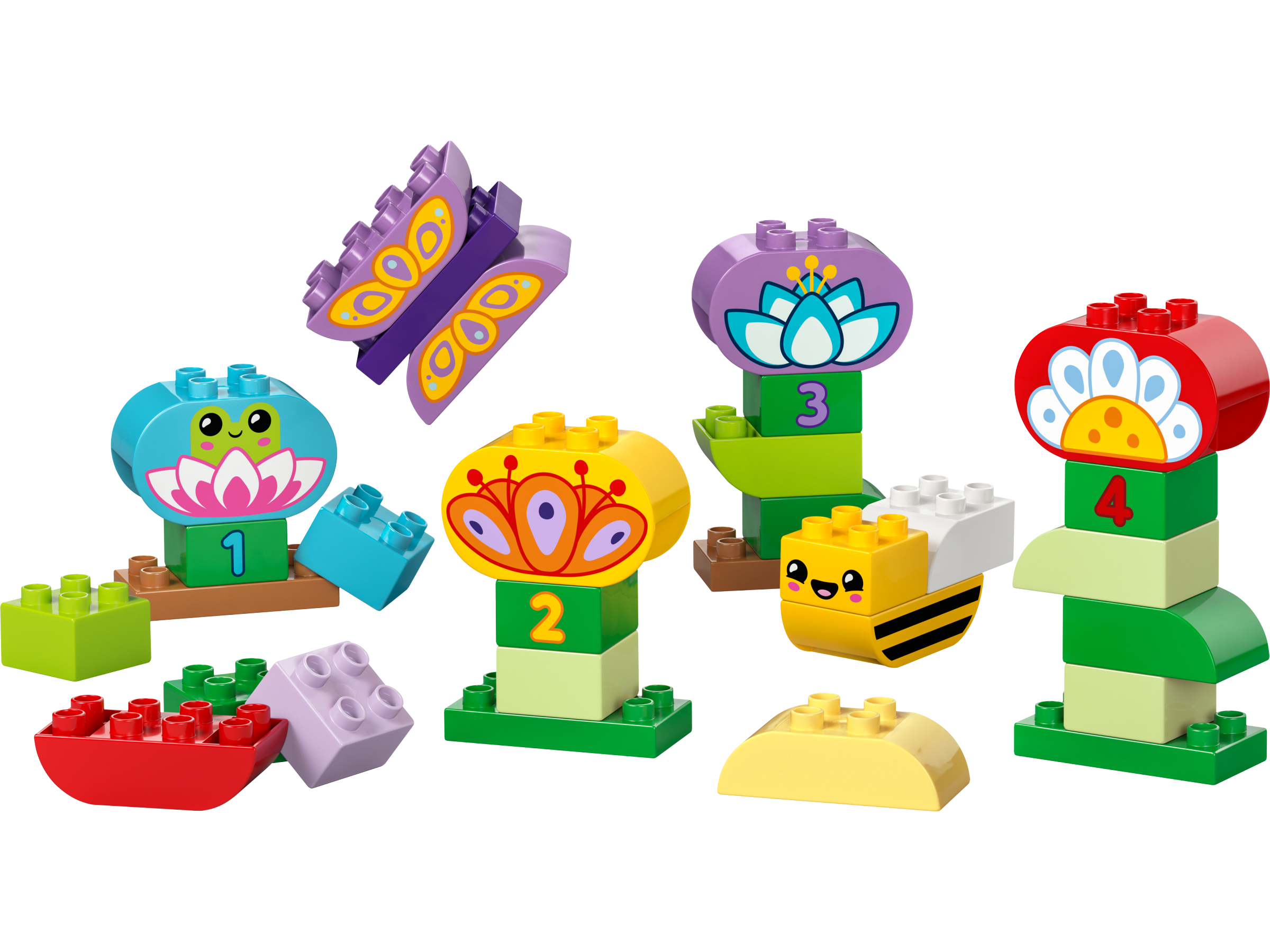 Creative Garden & Flowers
