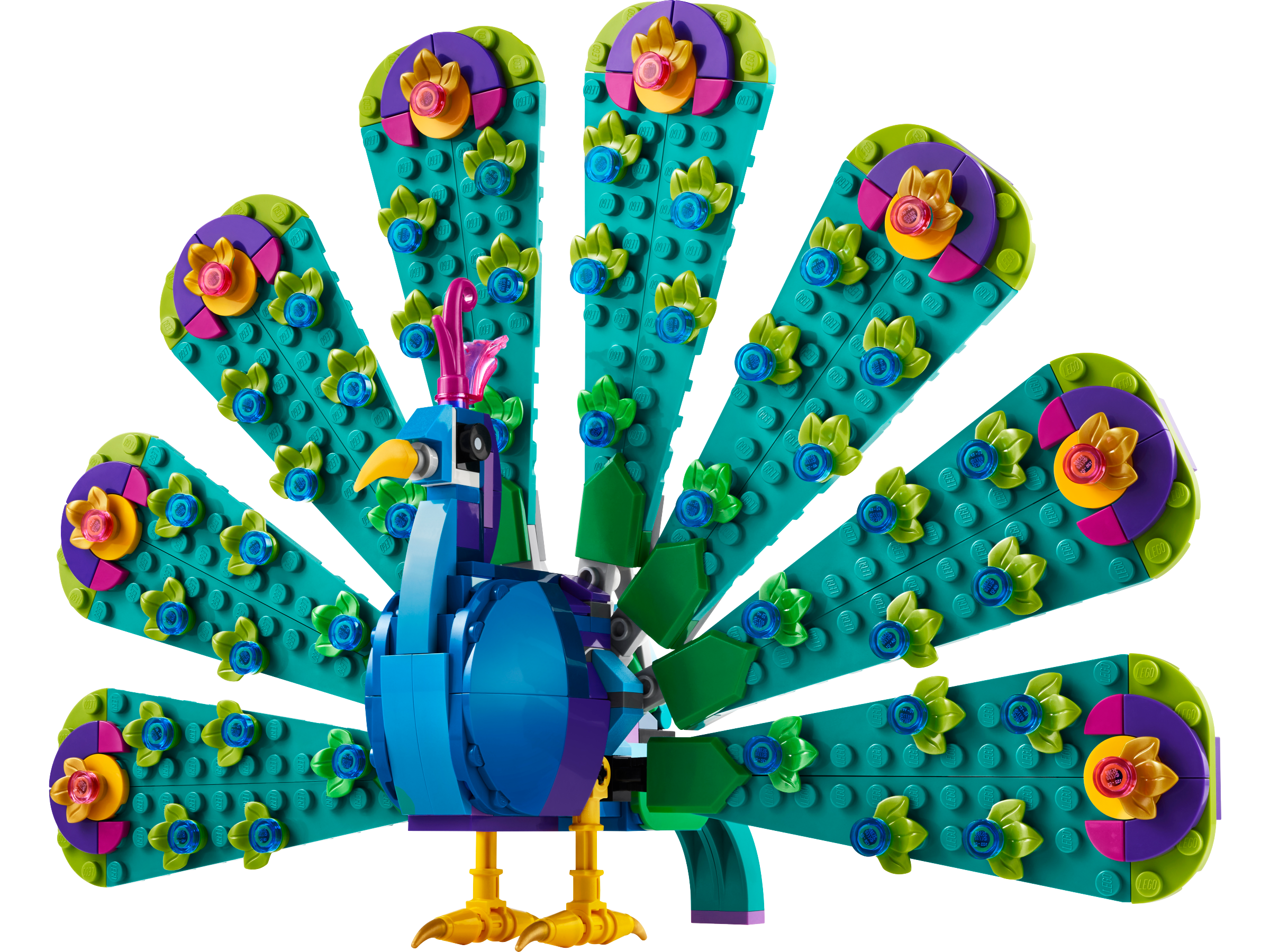 Exotic Peacock