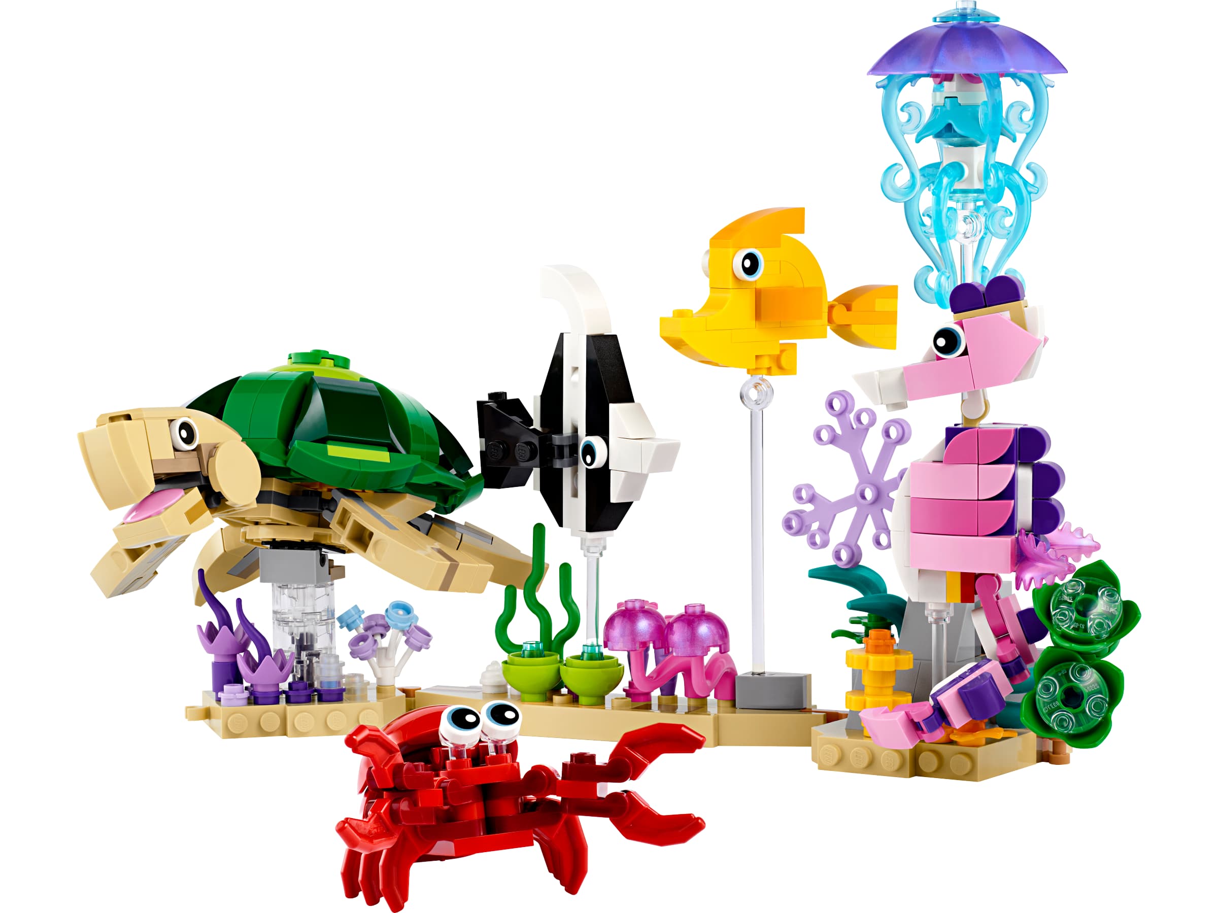 Sea Rescue Center