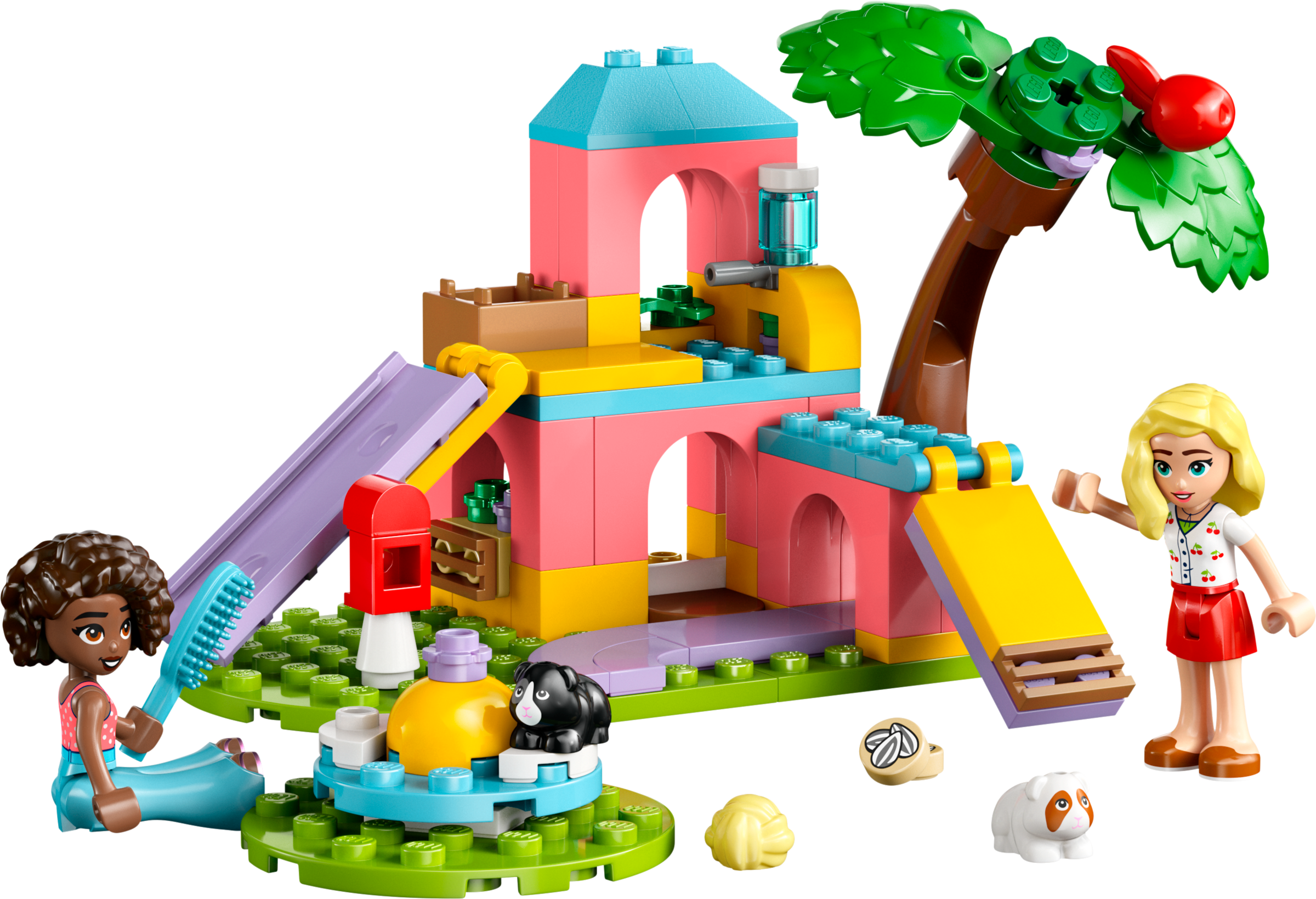 Guinea Pig Playground