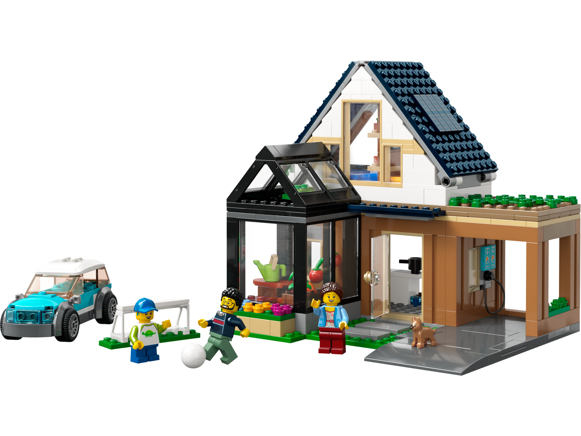 Family House and Electric Car