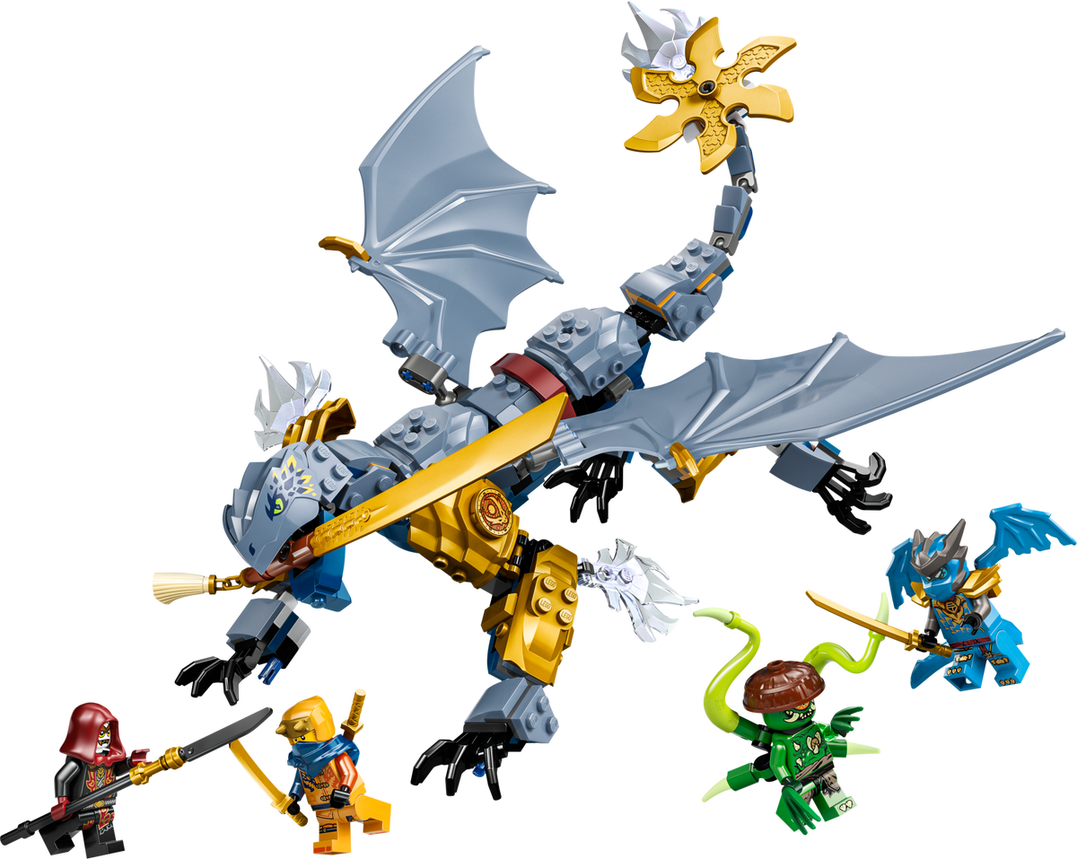 Ninja Dragon Riyu's Battle