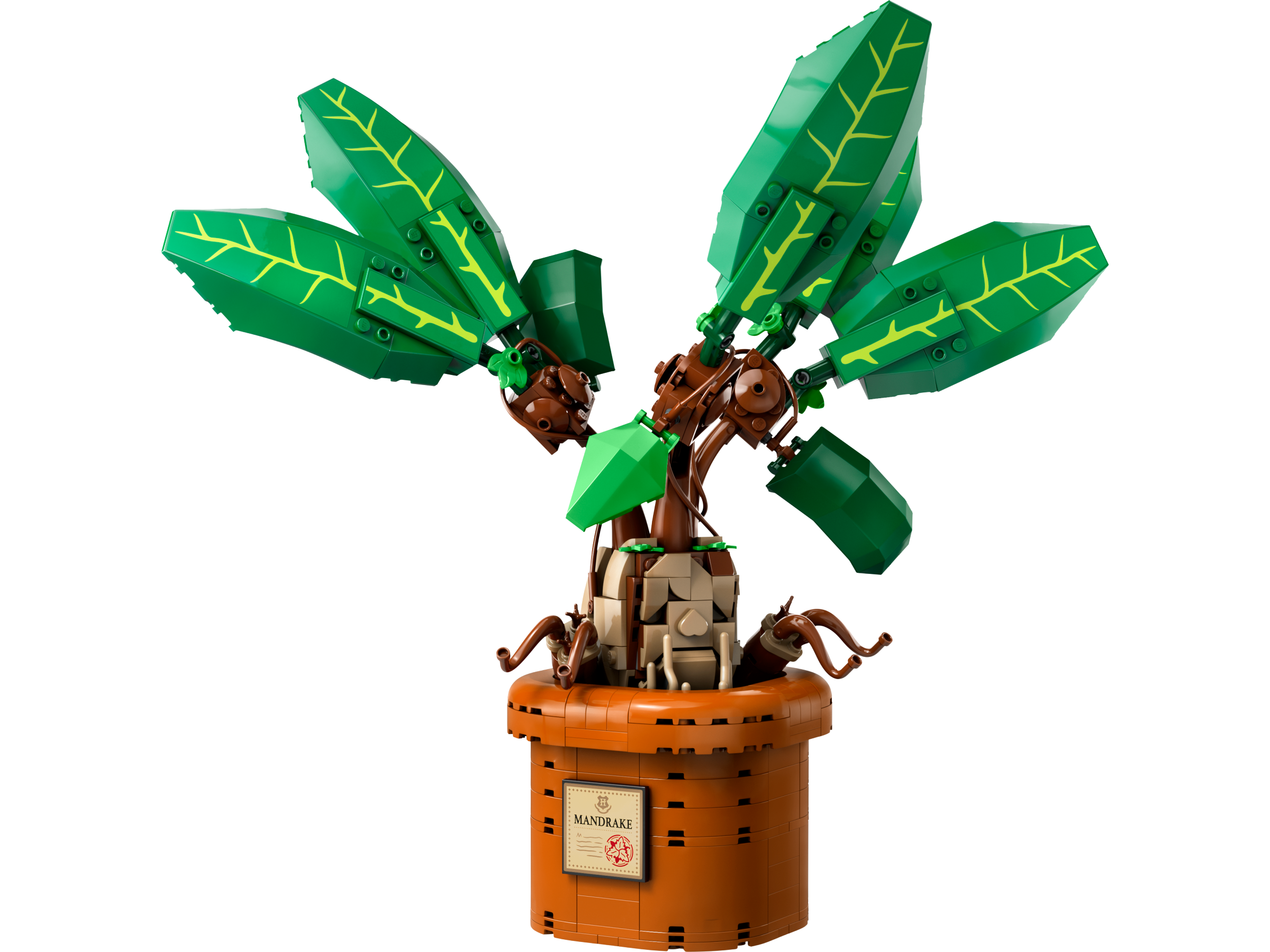 Ninjago: Dragons Rising: Tests and Trials