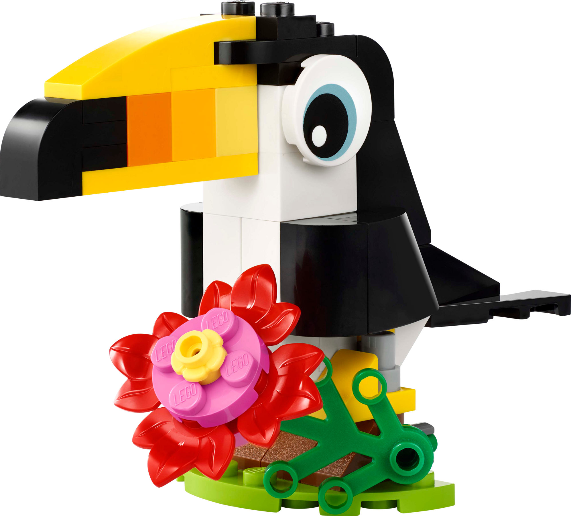 Tropical Toucan
