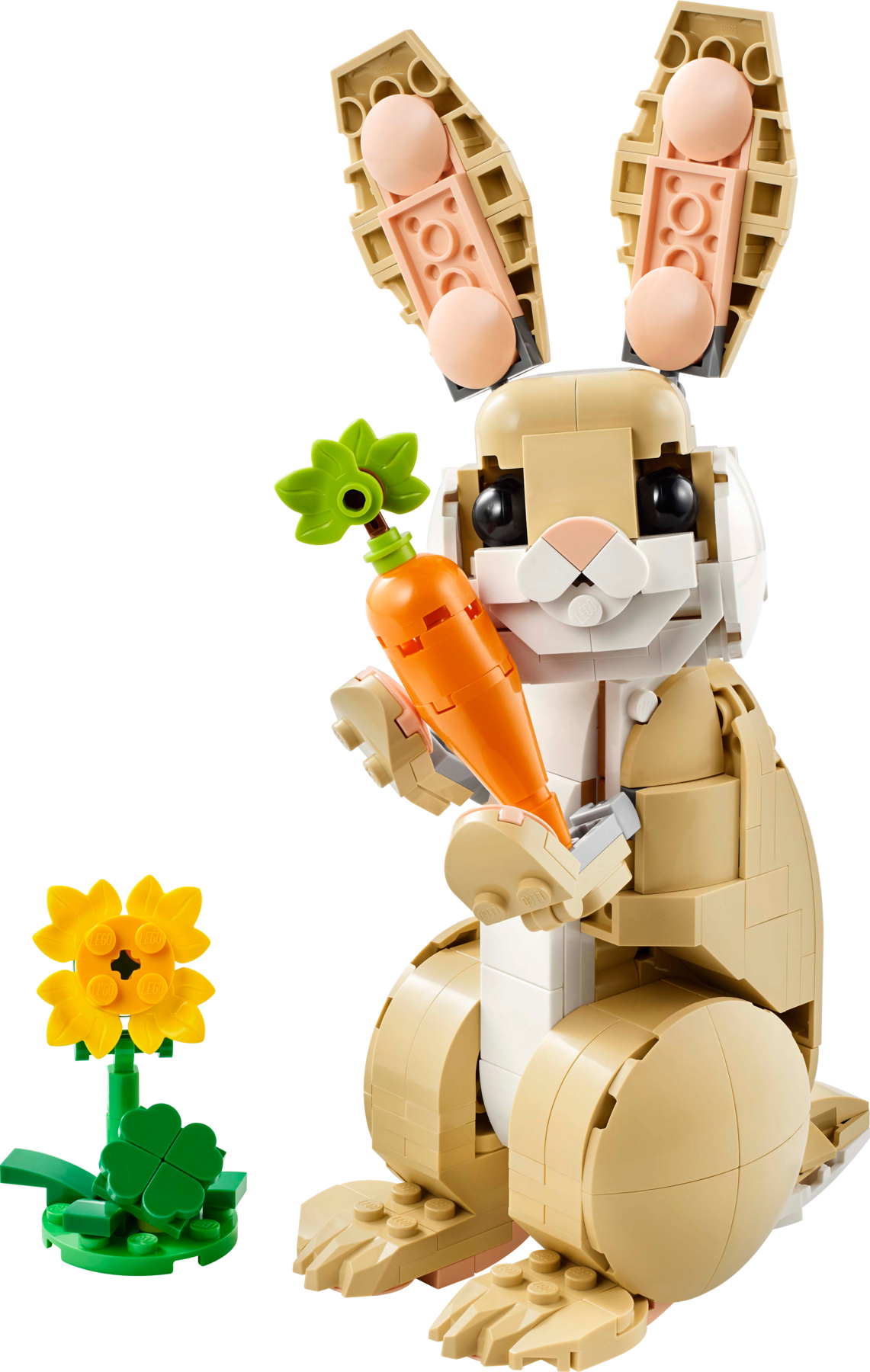 Cute Bunny