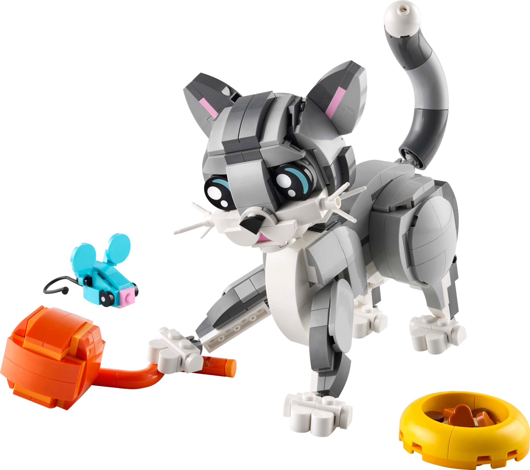 Playful Cat
